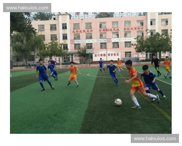 固原足球联赛：推动地方足球发展与全民健身的全新模式与实践